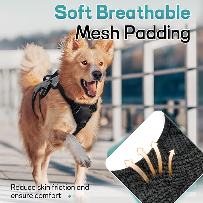 rabbitgoo Escape Proof Dog Harness for X-Large, No Pull with Lift Handle | No Escape, Full Soft Padded, Reflective Adjustable Vest, Leash Clip for Walking Hiking Training, Grey, X-Large