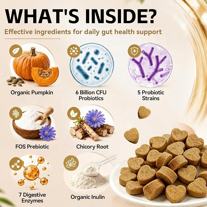 Probiotics for Dogs - Gut Health, Immune Support, Diarrhea, Gas & Constipation Care | with Prebiotics, Digestive Enzymes & Pumpkin - Dog Probiotic Soft Chews, 150 Count