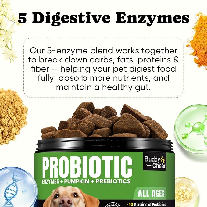 Digestive & Skin Support Chews + Dental Care Powder - Probiotics with Enzymes for Gut Comfort & Itch Ease, Tartar Control & Fresh Breath for Dogs & Cats - 180 Chews + 150g Powder