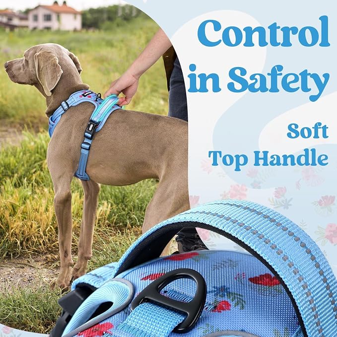 rabbitgoo Dog Harness for Large, Updated Easy On & Off with 3 Buckles | No Pull No Choke, Walking with 2 Clips and Handle, Adjustable Soft Reflective, Floral Blue, X-large
