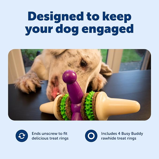 PetSafe Busy Buddy Jack - Treat Holding Dog Chew Toys - Helps Clean Teeth - Vanilla Scented Rubber for Strong Chewers - Treat Refills Included - Interactive Dog Toy Keeps Dogs Busy - Purple, Medium | Vanilla Scented Textured Rubber for Strong Chewers, ...