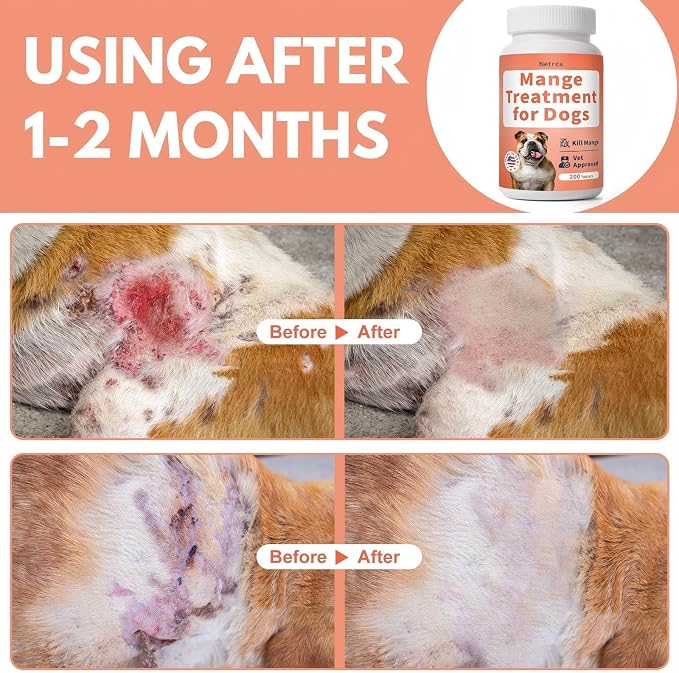 Mange Treatment Dogs, Mange Medicine for Dogs, Snooths Itching & Scratching, Promotes Hair Growth, Reduces Inflammation, Supports Skin & Coat Health, 200 Odorless Tablets