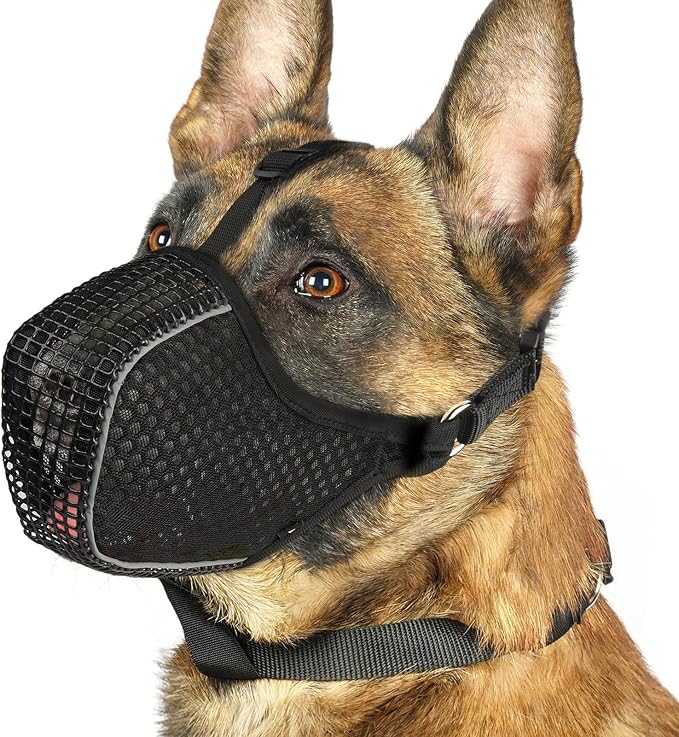 Mesh Dog Muzzle with Collar for Medium Large Dogs Anti Scavenging | Reflective for Nighttime Walks, Soft & Breathable, Anti Biting Chewing Eating, Grooming Training Use, Allows to Drink | XS