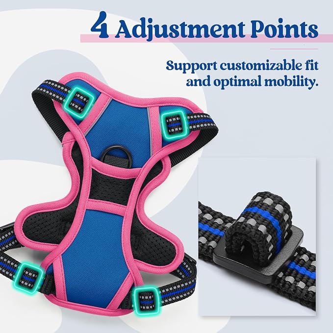 rabbitgoo Dog Harness, No Pull for Small Dogs with 2 Leash Clips, Pet Vest | No Choke with Handle, Adjustable Soft Padded, Reflective, Easy Control for Walking, Blue & Hot Pink, X-Small