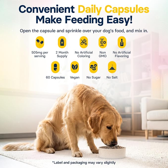 FiberSyl Prebiotics for Dogs - Psyllium Husk Fiber Supplement - 60 Capsules