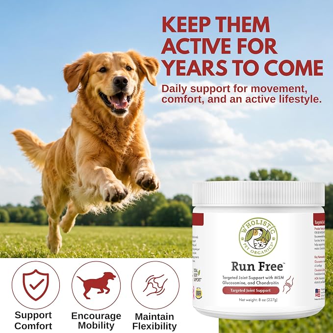 Max Strength Hip and Joint Supplement for Dogs & Cats, 8 oz, 56 Scoops
