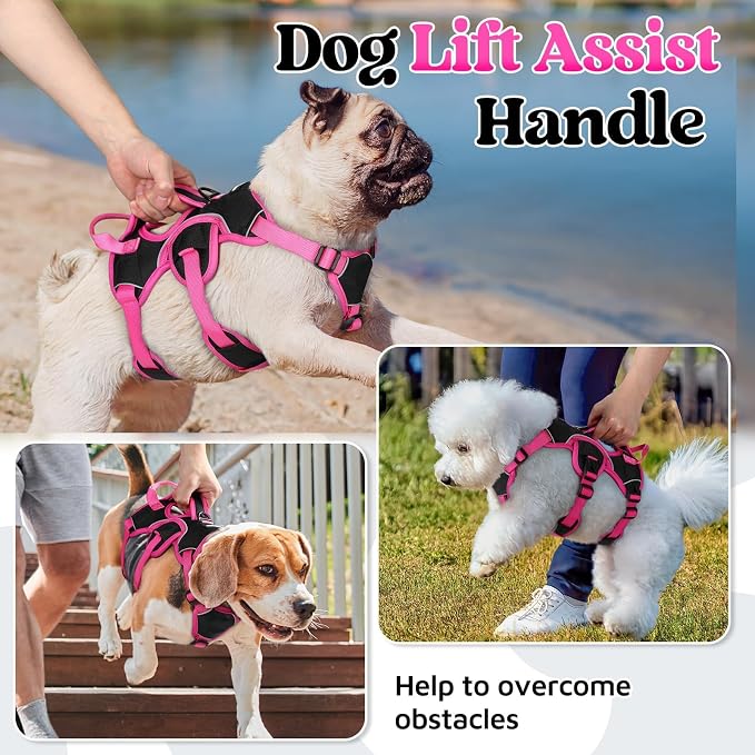 rabbitgoo Escape Proof Dog Harness for Small, No Pull with Lift Handle | No Escape, Full Soft Padded, Reflective Adjustable Vest, Leash Clip for Walking Hiking Training, Rose & Black, Small