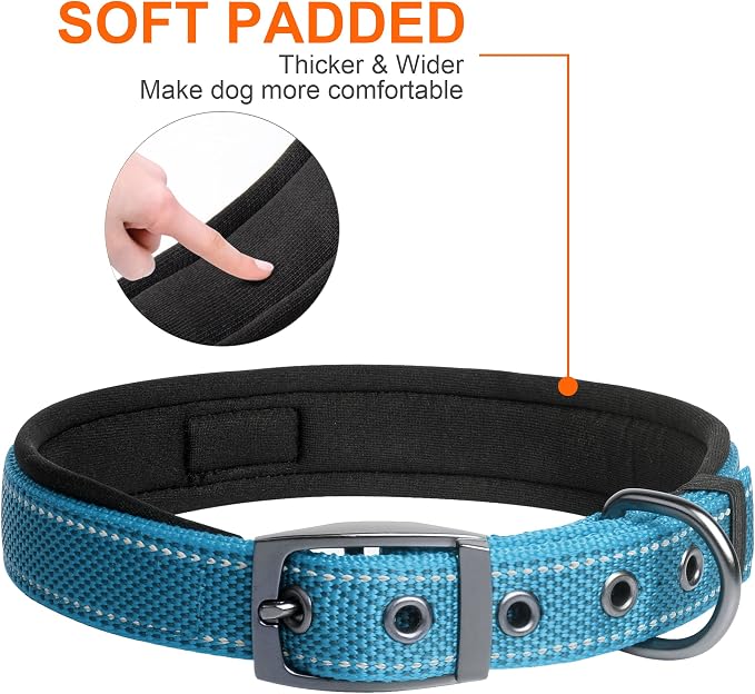 Fida Heavy Duty Dog Collar for Medium Dogs with Metal Belt Buckle, Blue | Soft Neoprene Padded for Extra Comfort, Thicker Nylon Webbing, Adjustable Fit, Reflective Stitching for Night Safety