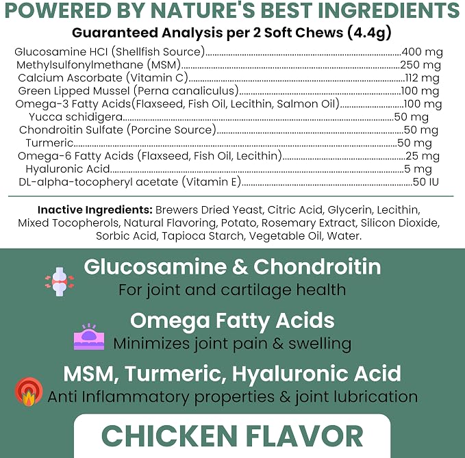 Glucosamine for Dogs Hip and Joint Supplement - 240 Soft Chews for Senior Dogs with Glucosamine, Chondroitin, MSM, Vitamin C, and Omegas - for Mobility, Cartilage, and Joint Health