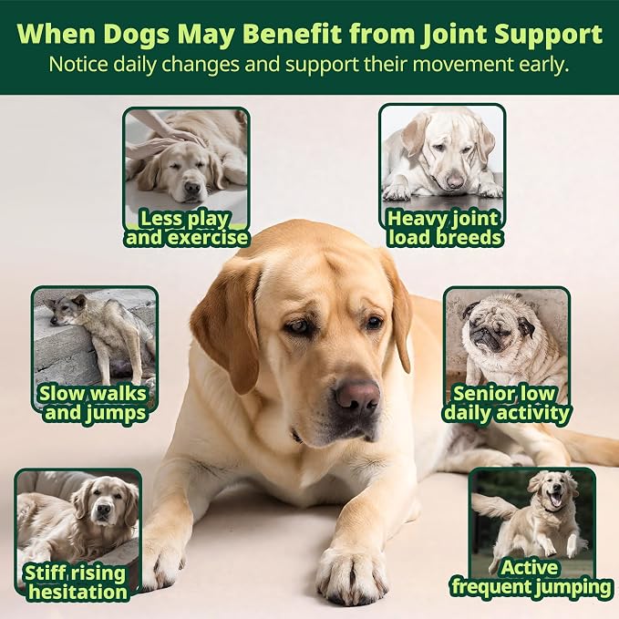 Liquid Collagen for Dogs, Skin & Coat & Joint Support, 2 fl oz