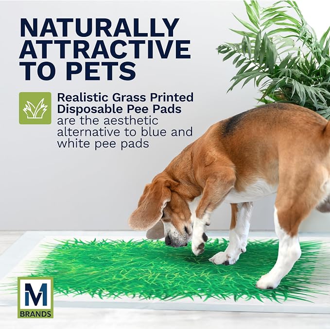 Big Dawg Pet Supplies Absorbent Puppy Pee Pads for Dogs & Cats – XL 28x34in Disposable Pet Pads – Handy Grab-n-Go Box – Potty Training & Housebreaking Supplies – Color, Grass – 30pc