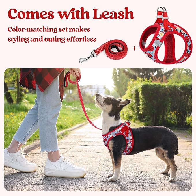 rabbitgoo Dog Harness Small Sized and Leash Set, Step-in Puppy Pet Vest | Light, Soft, Breathable Air Mesh, Easy on and Remove with Hook & Loop, Secure Reflective for Walking, Apple Pups XXS