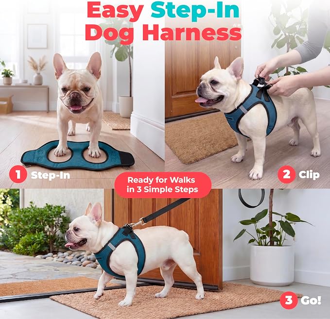 Voyager Step-in Air Dog Vest Harness - Blue/Black Trim, X-Small | 13 - 14.5" in Chest, Reflective Bands, All Weather Breathable Air Mesh, Cats Compatible, Lightweight, Fast Drying