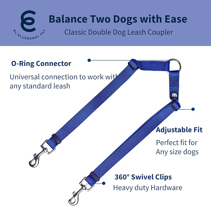 Blueberry Pet Essentials Durable Classic Double Dog Leash Coupler, Royal Blue, Medium/Large, Dual Walking & Training Leashes for Two Dogs