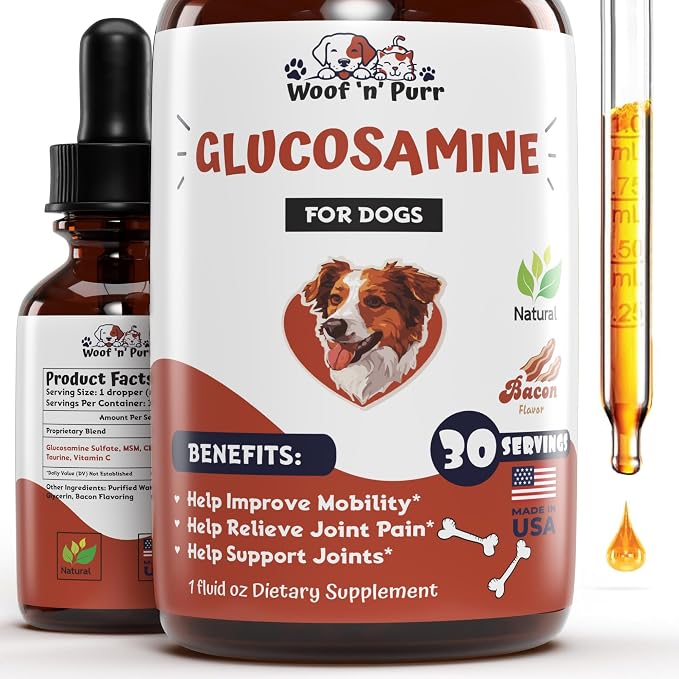 Dog Glucosamine - Supports Hip & Joint Health, Skin & Coat, & Much More - Hip and Joint Supplement - Dog Joint Supplement - Glucosamine Chondroitin for Dogs - 1 fl oz