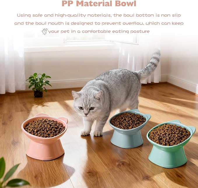 KSIA Klear Elevated Cat Bowls 2 Pack, Tilted Raised Cat Bowl for Food and Water, 4.72" Wide, Whisker Friendly Anti Vomit for Indoor Cats, Microwave and Dishwasher Safe, Pink