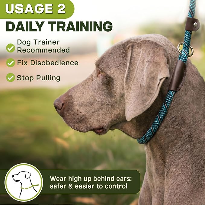 Fida Durable Slip Lead Dog Leash Bulk Pack of 5, Heavy Duty 1/2" x 6 FT Comfortable Strong Rope Slip Lead for Large, Medium & Small Dogs No Pulling Pet Training Leash with Highly Reflective (Blue)