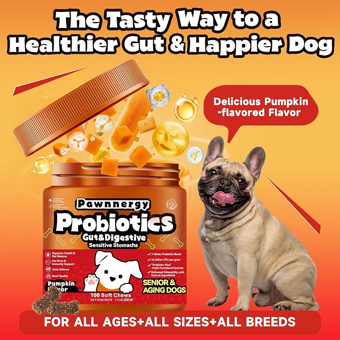 Probiotics for Dogs - Improve Gut Health, Digestive, Immunity, Yeast Balance, Solid Stool - with Prebiotics - Reduce Diarrhea, Gas, Bad Breath, Constipation, Allergy - Ideal for Senior Dogs (5+ Years)