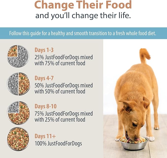 JustFoodForDogs Nutrient Blend Supplement - Turkey & Whole Wheat Macaroni, 4.55oz