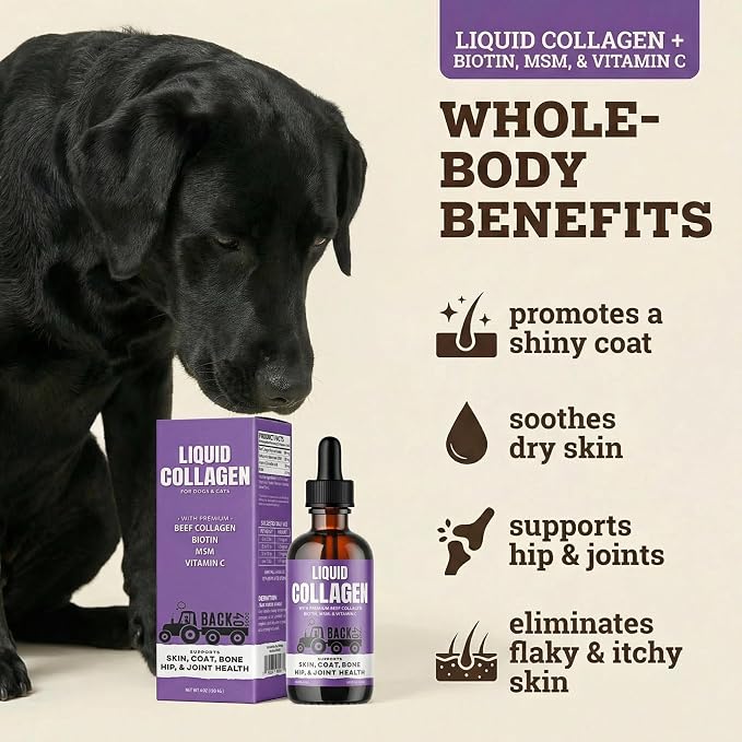 Back 40 Dogs Premium Grass-Fed Liquid Collagen for Dogs Skin and Coat, Hips and Joints | Allergy Relief with Biotin, Vitamin C and MSM for Joint, Nails & Immunity | Made in USA
