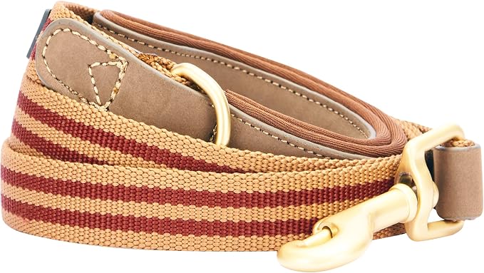 Blueberry Pet Polyester Fabric Webbing and Soft Genuine Leather Dog Leash with Soft & Comfortable Handle, 6 ft x 1", Red and Brown, Leashes for Dogs