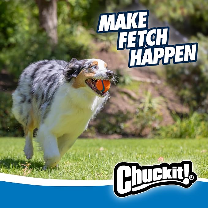 Chuckit! Dog Balls, Medium, 2.5in, Set of 3, Pack of 12