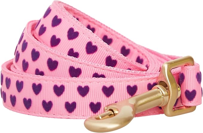 Blueberry Pet Valentine's Day Dog Leash, Velvety Soft-Touch Heart Flocking