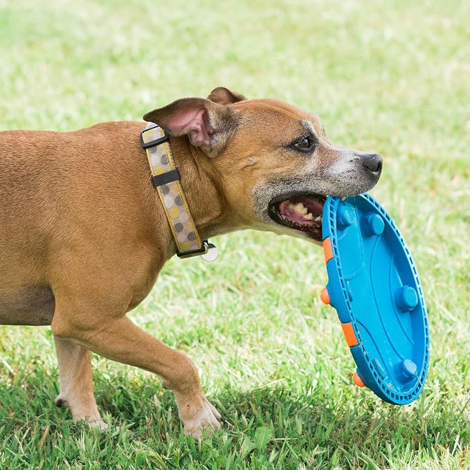 Chuckit! Whistle Flight Fetch Toy, Orange/Blue, for Medium to Large Dogs | Measures 10.6 In x 1.2 In x 11.1 In, for Medium to Large Dogs