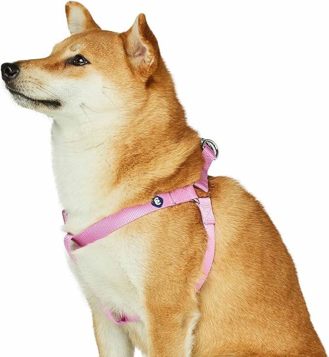 Blueberry Pet Essentials Step-in Dog Harness, Medium Size | Adjustable Fuchsia Pink Vest | Classic Solid Nylon for Boy & Girl Dogs, Chest Girth 20" -26"