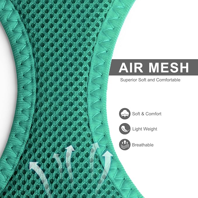 Fida Cat Harness and Leash Set for Walking Kitten and Puppy, Escape Proof Kitten Harness with Breathable Lightweight Soft Mesh, Adjustable Reflective Step-in Design. (XXXS, Green)