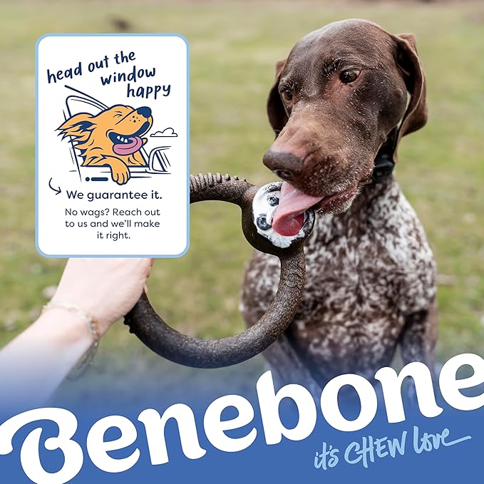 Benebone Limited Edition Blueberry Small 4-Pack Dog Toys for Aggressive Chewers, Durable Dog Bones, Made in USA, Dog Toys for Small Dogs Under 30 lbs