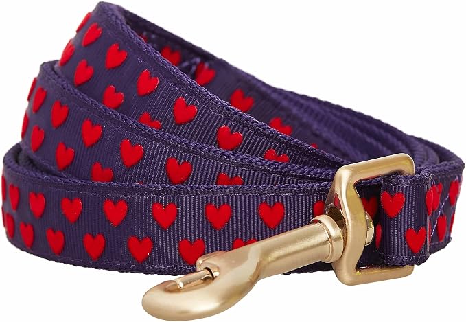 Blueberry Pet Valentine's Day Dog Leash, Velvety Soft-Touch Heart Flocking Lead for Medium Dogs, Gothic Grape, 5 ft x 3/4"