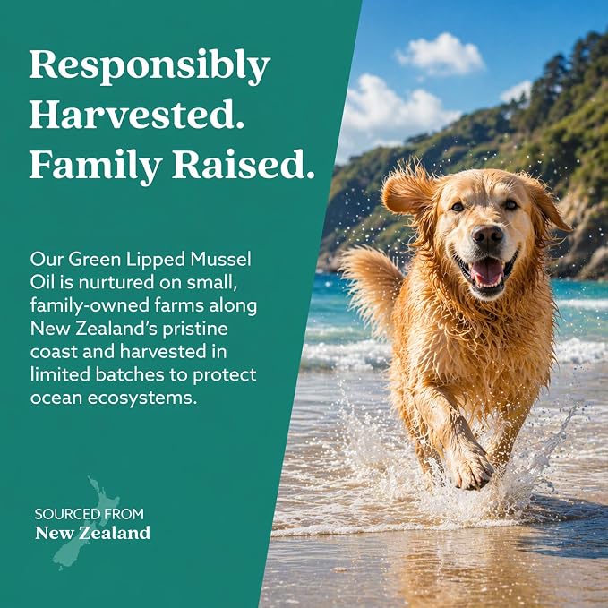 GLX3 Green Lipped Mussel Oil for Dogs | Joint & Hip Comfort Omega-3 Supplement | Ideal for All Dog Breeds and Ages | 1 Month Supply, 60 Gel Capsules w/Natural Ingredients