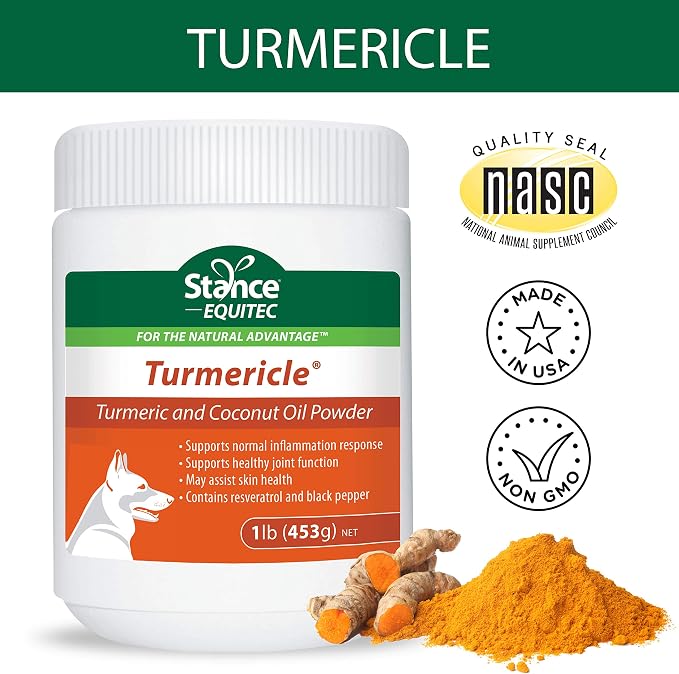 Natural Turmeric Powder for Dogs with Powdered Coconut Oil - Turmericle Anti-Inflamatory Dog Supplement for Healthy Hip & Joint Function - Normal Skin Health (1 Pack)