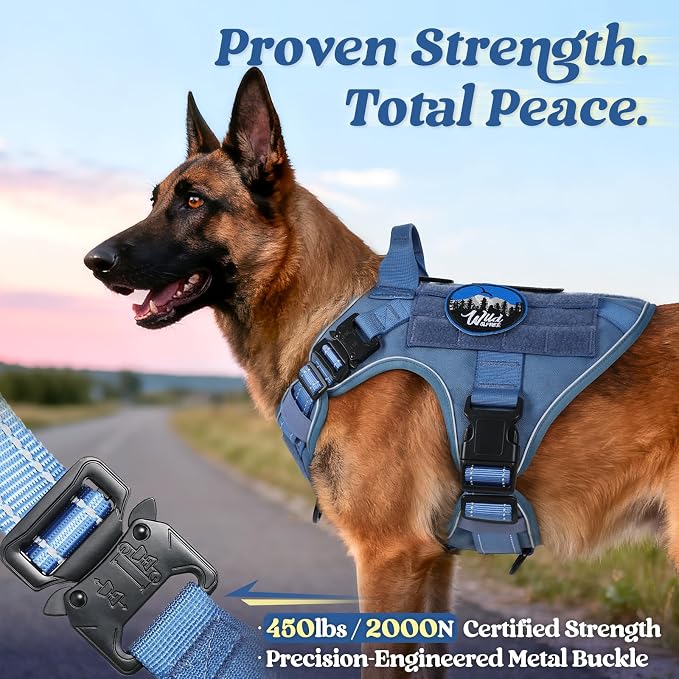 rabbitgoo Tactical Dog Harness for Large, Heavy Duty Military No Pull Vest | Sturdy Metal Buckles, 5 Adjustments, Molle System, Powerful Pullers for Training, Hunting, Outdoor, Blue Reflex, Large