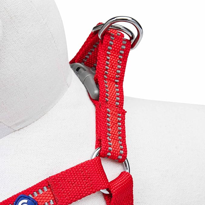 Blueberry Pet Essentials Step-in Reflective Back to Basics Dog Harness, Rouge Red, Chest Girth 20" - 26", Medium, Adjustable Harnesses for Dogs