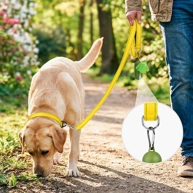 Joytale Reflective Dog Leash for Small Dogs, 5 FT x 3/4", Yellow | Heavy Duty Nylon Webbing, Padded Handle for Comfort, Visible at Night, for Walking & Training