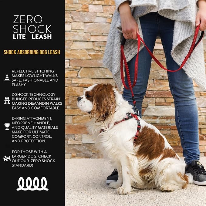 EzyDog Zero Shock Lite - Bungee Dog Leash, for Small Dogs - 48", Blue | Shock Absorbing, Padded Neoprene Grip, Reflective Stitching, Strong for Pullers, .5" Soft Touch Webbing for Durability