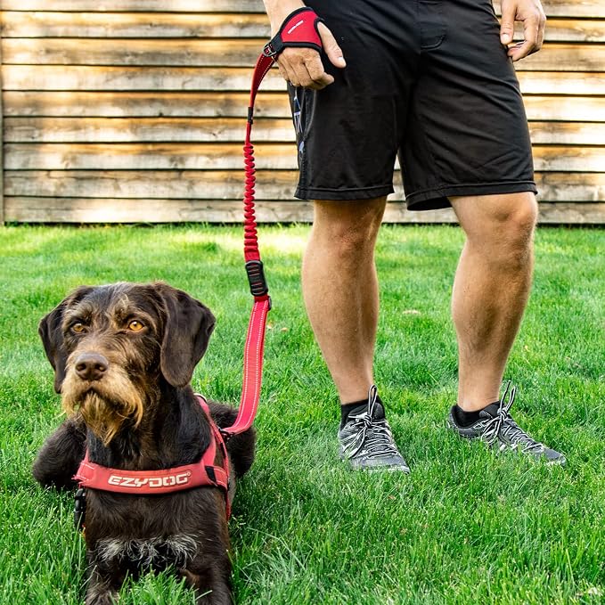 EzyDog Handy 48 Bungee Dog Leash, 48" Hand Free Glove Running Leash - Black | Adjustable 36” - 48” In., Superior Control, Reflective Stitching, Zero Shock-Absorbing Bungee Leash, Combine with other Leash