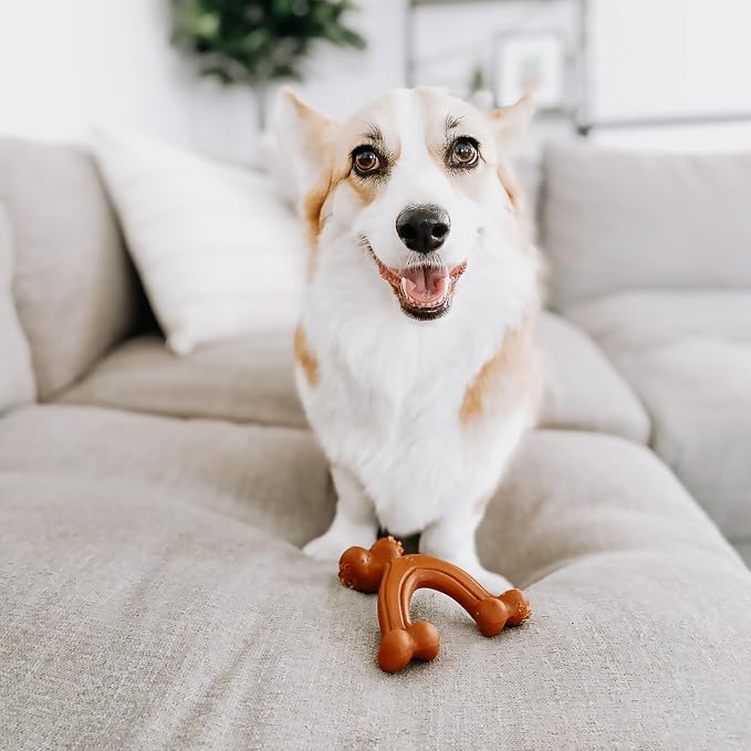 Nylabone Power Chew Easy-Hold Wishbone Dog Chew Toy, Small | Bison flavor, durable dog toys for aggressive chewers, discourages destructive chewing, for small breeds up to 25 lbs