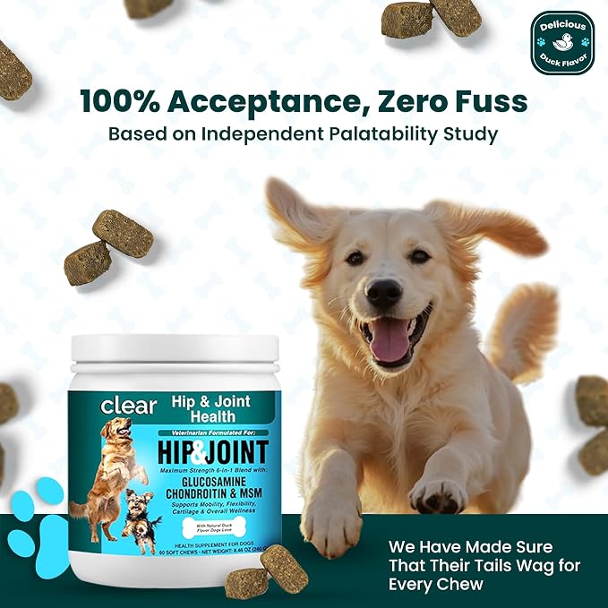 Glucosamine for Dogs Hip and Joint Supplement - Chondroitin, MSM, Green-Lipped Mussel - Clear Hip & Joint - Advanced Mobility Cartilage Support, Bone Health - Tasty Chews 60ct - Made in USA