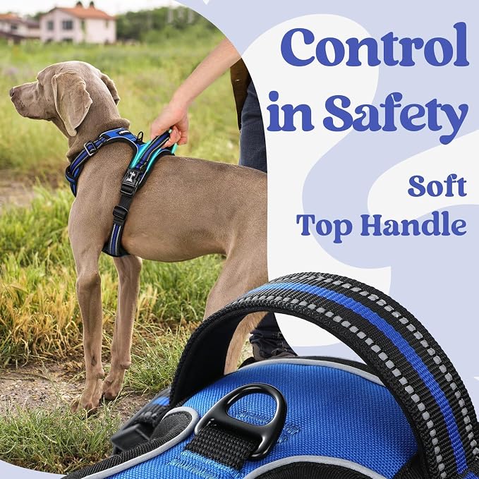 rabbitgoo Dog Harness Medium Sized, Updated Easy On & Off with 3 Buckles | No Pull No Choke, Walking with 2 Clips and Handle, Adjustable Soft Reflective, Blue, Medium
