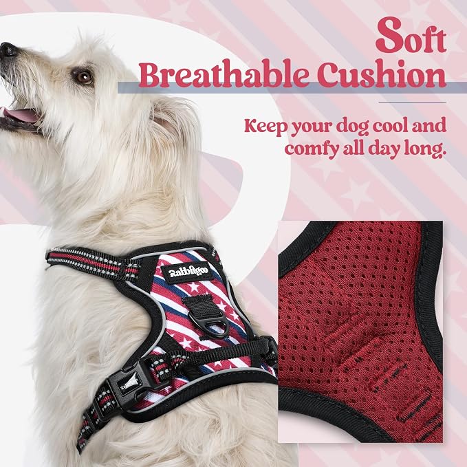 rabbitgoo Dog Harness, No Pull for Small Dogs with 2 Leash Clips, Pet Vest | No Choke with Handle, Adjustable Soft Padded, Reflective, Easy Control for Walking, Red Stripe, X-Small