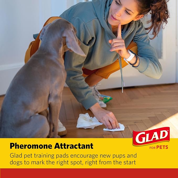 Glad for Pets Extra Large Charcoal Training Pads for Dogs and Puppies, Activated Carbon Odor Control, 6-Layer Absorbent Leak-Proof Pee Pads with Pheromone Attractant, 28 x 30 in, 30 Count - 2 Pack