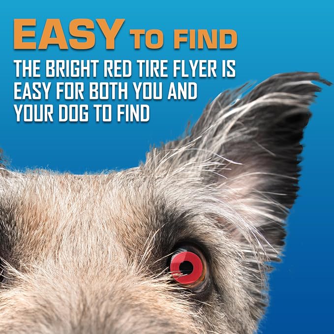 Nerf Dog Atomic Flyer Outdoor Dog Toy, 10 Inch Flying Disc Dog Fetch Toy, Rubber Dog Toy for Medium Dogs and Large Dogs, Red (Pack of 2)