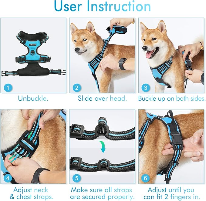 rabbitgoo Dog Harness, No Pull Medium Sized with 2 Leash Clips, Pet Vest | No Choke with Handle, Adjustable Soft Padded, Reflective, Easy Control for Walking, Blue, Medium