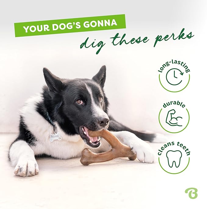 Medium 3-Pack, Benebone Wishbone Durable Dog Chew Toy for Aggressive Chewers, Real Bacon, Chicken, Peanut Butter, Made in USA, Variety Pack