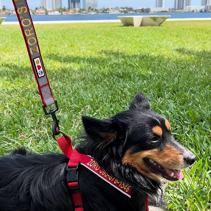 Pawtitas Reflective Padded Dog Harness for Medium Dogs – Adjustable Step-in Vest | Fits Chest 22–28 in | No Pull Personalized Training Harness | M | Black
