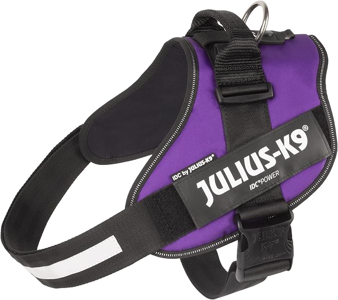 Julius-K9 IDC Powerharness, Size: 2XL/3, Dark Purple