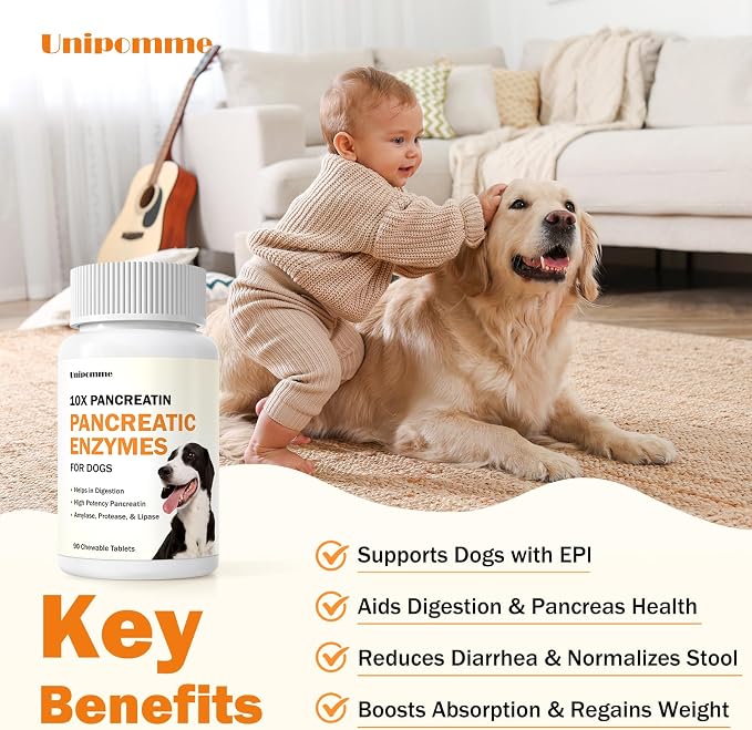 Pancreatic Enzymes for Dogs - 10x Pancreatin Formula for EPI Dog - Digestive Enzymes Tablets for Pet Pancreatic Concerns, Supports Buddy Digestive Stress, Healthy Weight Management - 90 Tablets